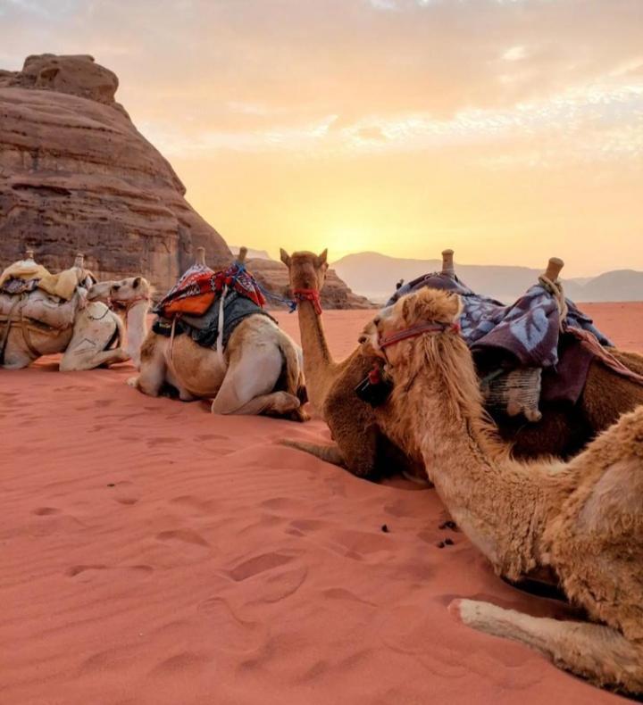 Wadi Rum Nature Luaran gambar